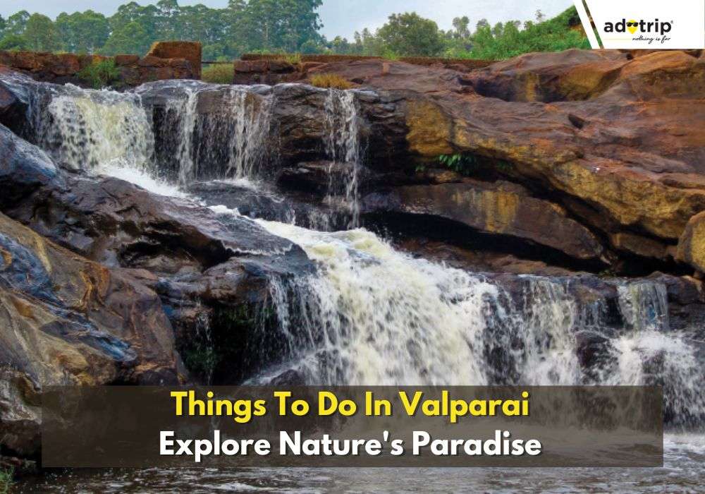 Things To Do In Valparai